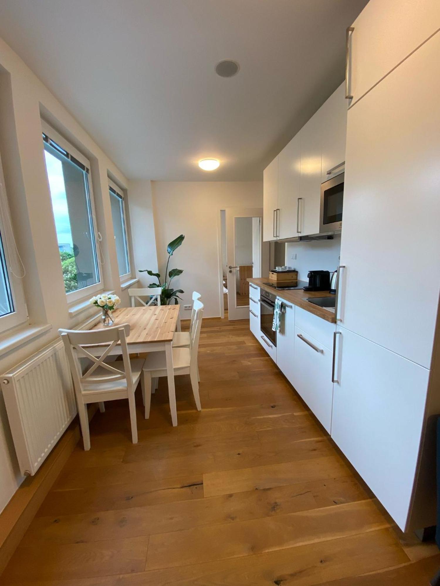 Vinice Appartement Praag