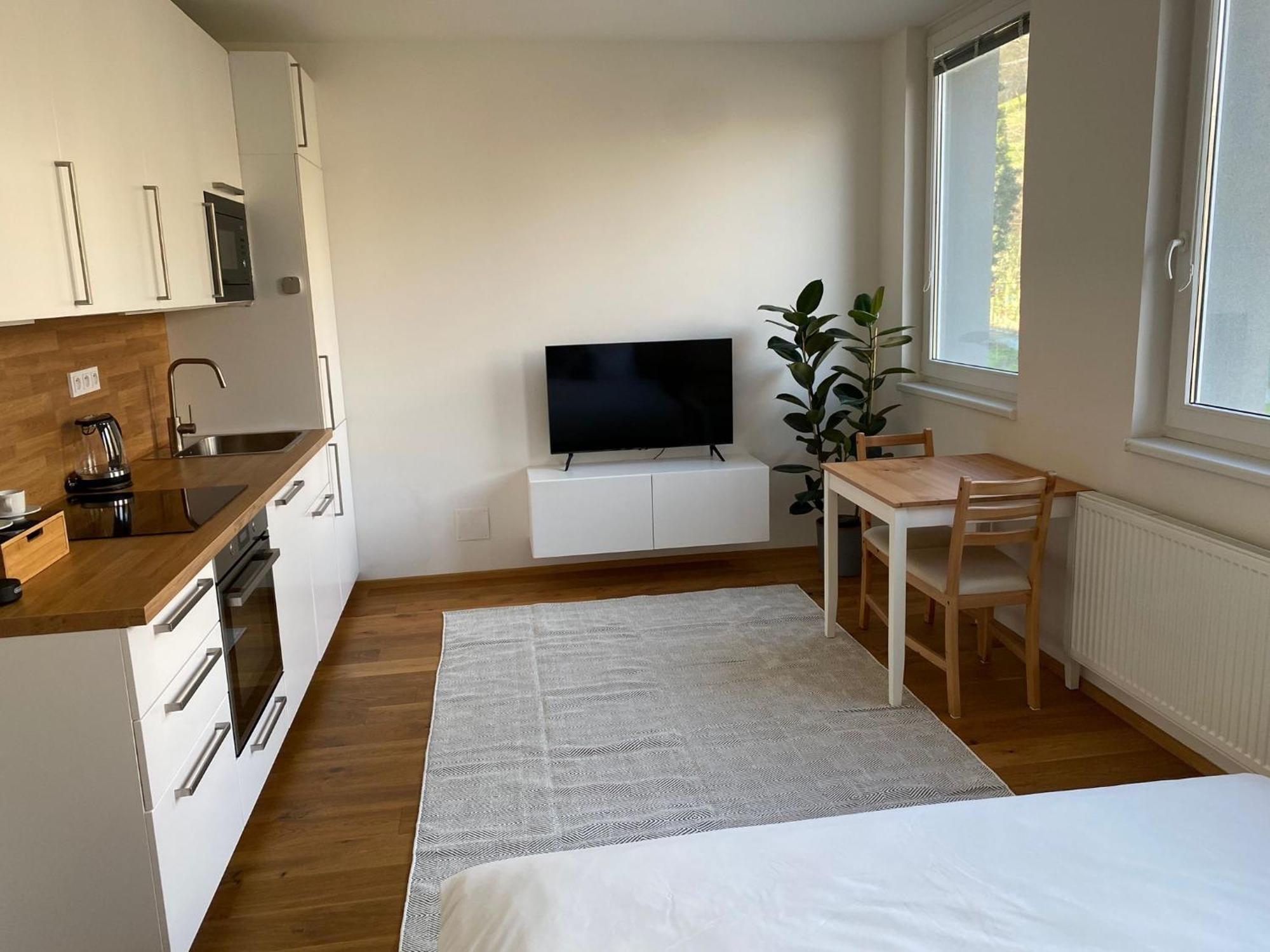 Apartmán Vinice *